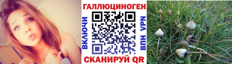 Галлюциногенные грибы мицелий  Горно-Алтайск 