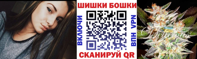 Бошки Шишки план  купить закладку  Горно-Алтайск 